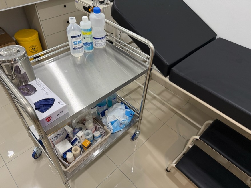 Others (Ultrasound machine, Nebulization and Oxygen Supplementation, Electrocardiogram)